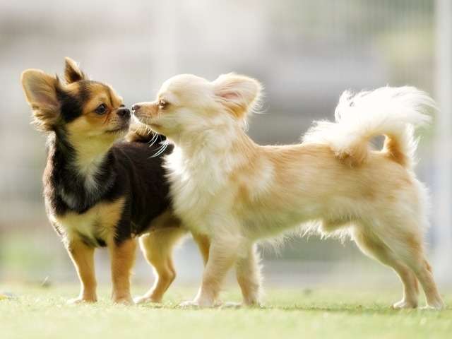 境界性パーソナリティ障害とは?〜症状や治療法など〜 【仙台 カウンセリング】